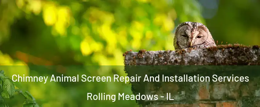  Chimney Animal Screen Repair And Installation Services Rolling Meadows - IL