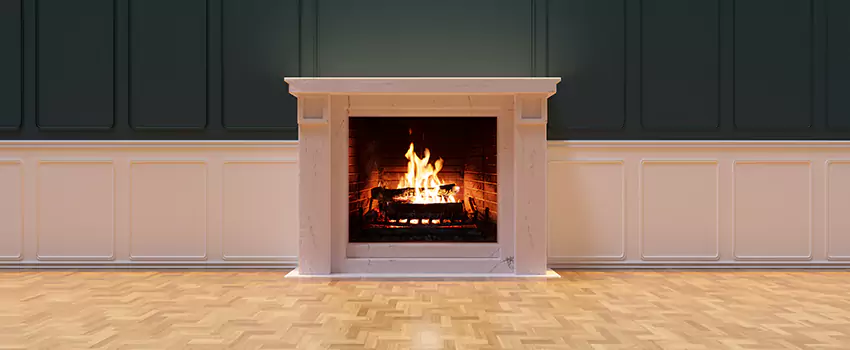 Napoleon Electric Fireplaces Inspection Service in Rolling Meadows, Illinois
